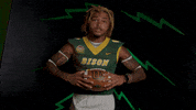 Bison Hart GIF by NDSU Athletics