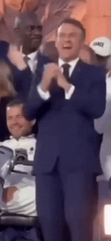 Macron GIF by systaime