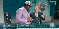Philadelphia Eagles Football GIF by NFL
