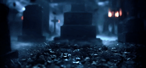 Look What You Made Me Do GIF by Taylor Swift
