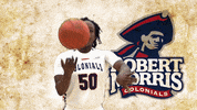 college basketball GIF by Robert Morris University Athletics