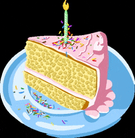 Party Celebrate GIF