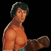 museodelamoda rocky stallone museo de la moda museodelamoda GIF