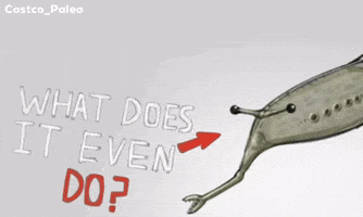 Dino Paleontology GIF