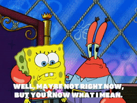 season 5 to love a patty GIF by SpongeBob SquarePants