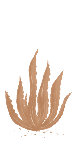 daehair giphyupload cactus desert arizona Sticker