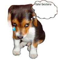 Mookieio Sticker