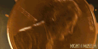 GIF by Night At The Museum