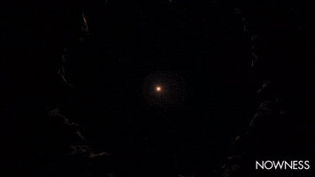 A Visual Exploration Of African Proverbs GIF by NOWNESS