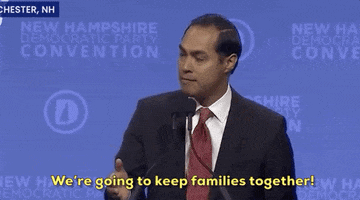 New Hampshire 2020 Race GIF