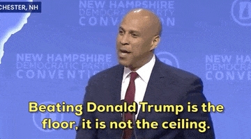 New Hampshire 2020 Race GIF