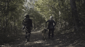 Dog Twd GIF by The Walking Dead