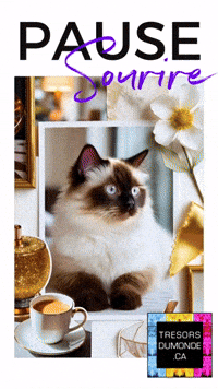 Animation Instagram GIF by TresorsDuMonde.ca