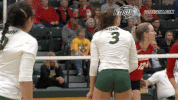 north dakota state bison GIF by NDSU Athletics