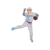 Eriesteelheads Sticker by All American Baseball