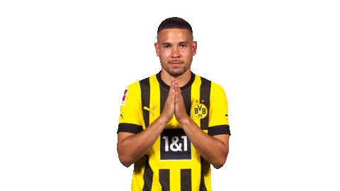 Borussia Dortmund Thank You Sticker by Bundesliga