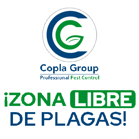 Pest Control Fumigacion Sticker by copla group