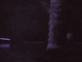 the revolution prince GIF