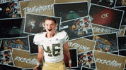 Georgia Tech Football GIF by Georgia Tech Yellow Jackets