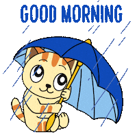 Good Morning Rain Sticker by JPedicini