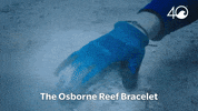 Environment Osborne GIF by 4ocean