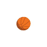 Childrens Book Basketball Sticker by VeeFriends