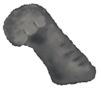 akimame cat hand ねこ 猫 Sticker