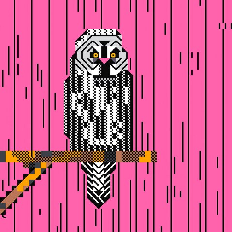 bird owl GIF by ailadi