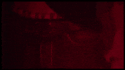 GIF by It Felt Like Love