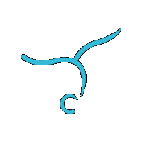 Sticker by Ginnastica Tigullio