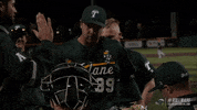 baseball wave GIF by GreenWave