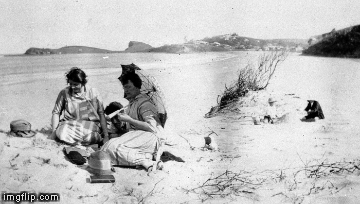 gifitup giphyupload gifitup gif it up trove GIF