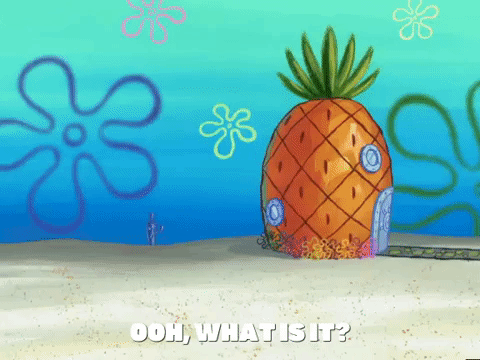 season 4 driven to tears GIF by SpongeBob SquarePants