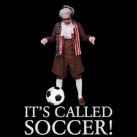 World Cup Soccer GIF