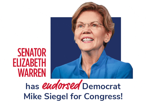TeamMikeSiegel giphyupload tx10 siegelfortexas mikesiegel GIF