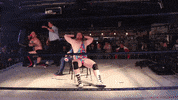Wpw Uncensored GIF by SHWAperth