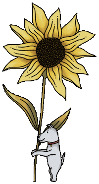 simonhurleycreate dog flower sun dogs Sticker