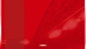 GIF by AZ Alkmaar