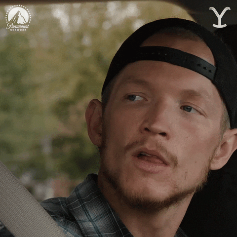 Paramount Network Wow GIF by Yellowstone