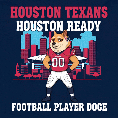 Shiba Inu Football GIF by Doge Pound