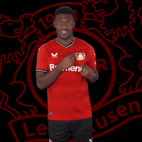 Logo Love GIF by Bayer 04 Leverkusen