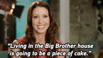 celebrity big brother shannon GIF