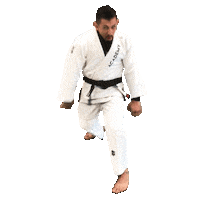 Punk Rock Fighting Sticker by Academy Jiu-Jitsu