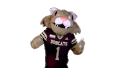 Boko Sticker by Texas State University