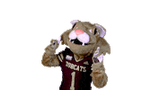 Boko Sticker by Texas State University