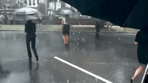 fearless GIF by Taylor Swift