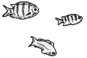 Sticker by Weston Table