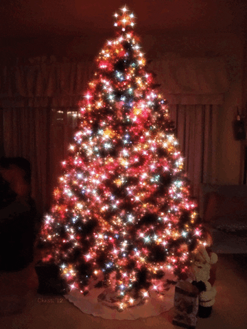 tree GIF