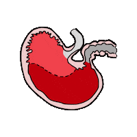 Horsefeed Sticker by Salvana Pferdefutter