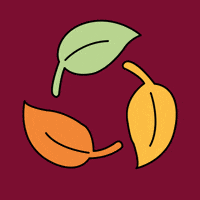 Falling Leaves University GIF by Leuphana Universität Lüneburg